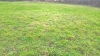 thumb_2110_bis.jpg